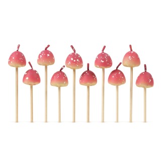 10 شموع عيد ميلاد بشكل فطر