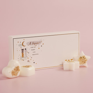 طقم مكعبات شمع معطرة بتصميم صداقة طقم مكعبات شمع معطرة بتصميم صداقة