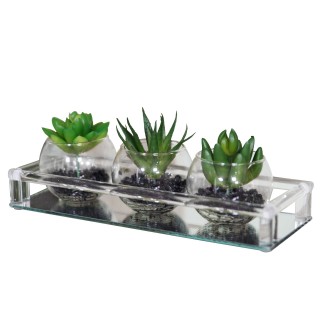 مجموعة من 3 نباتات زينة ثلاثية في صينية زجاجية 