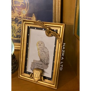 برواز صور هاري بوتر ذهبي هيدويغ  حجم 15 × 10 سم